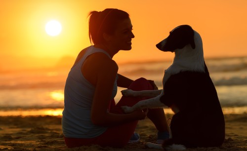 Frau mit Hund am Strand bei Sonnenuntergang